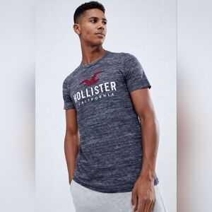 Hollister California Logo Men's Graphic Short Sleeve Tee -Size Medium-EUC🌊